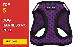 Best Dog Harness No Pull Reflective in 2026 - Expert Reviews in 2026