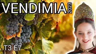 FIESTA DE LA VENDIMIA en un MINICAMPER Mendoza VLOG TURISMO