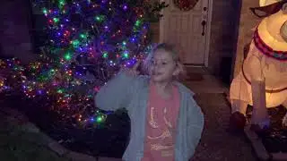 2022 Christmas Light Display (Featuring LeahRose)
