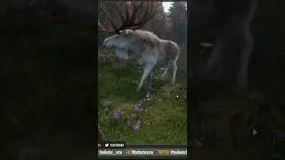 ALL 6 FUR TYPES of the GREAT ONE MOOSE!!! - Call of the Wild #shorts