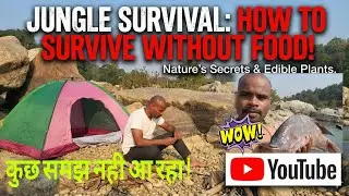 Jungle Survival|How to survive without food|बिना भोजन केसे सरवाईब करे जंगल में|sanjaykukuvlog 