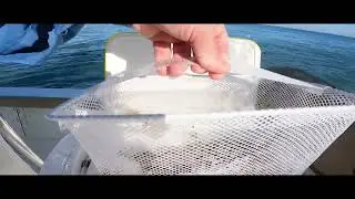 Live Bait Cooler Review Frabill Aqua Life