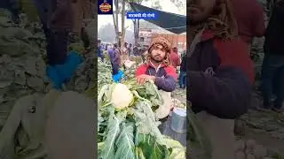 Barabanki ki gobhi 🥰 gobhi ka bhav 💯 Mandi News 🗞️ mandi bhav 😘 #shafeeqbarabanki #gobhi #mandinews