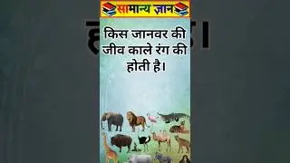 Gk Questions ✍️ सामान्यज्ञान Gkgs gkinhindi Ganralknowlage Gkquiz #gk #gkquiz #shorts part 100