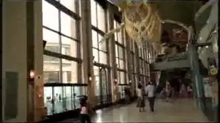 Experience Grand Rapids