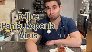Вирус панлейкопении кошек