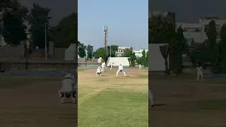 DDCA League 19 🏏💯🎯🫵#cricket #cricketlover #cricketshorts #ddca #shorts