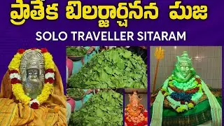 Shiva Rudrabhishekam Bilva pooja  #shiva #trending #god