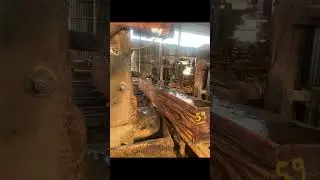Sawing Curupay Wood