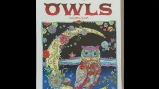 Creative Haven Owls Coloring Book flip through