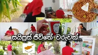 සයිප්‍රස් ජිව්තේ වරුවක් ..🇱🇰🇨🇾| meal prep | cleaning | day in my life | sinhala cyprus  @Sithumemo