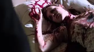 Jane, Lisbon, Partridge scene - 