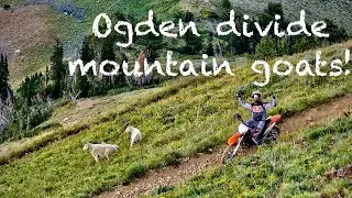 THEE Ogden divide skyline trail (Dirtbike vlog #10!)