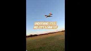 Xane hobby rc MB-339 50mm Edf on 1500 4s!! Easy to fly #rc #edf #parkflyer #mb339 #goldenhour