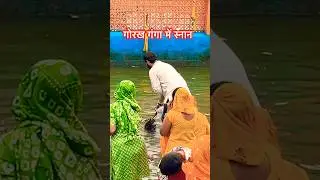 Gogamedi Mela 2025 | gogamedi mela yatra | goga ji bhajan |#shortsfeed #shorts #gogaji