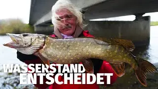 JETZT KNALLT'S: NACH dem HOCHWASSER auf HECHT & ZANDER - Treene mit JÖRG OVENS - Fang mal was (34)