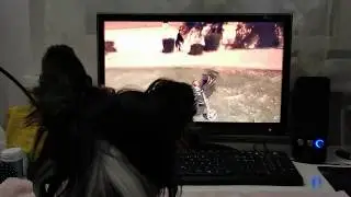 Mira watches Dr Pawfessor