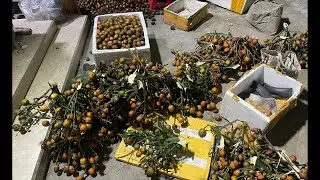 Nói Gửi 1200 Về Đak Nông, 350 Về Quảng Ngải