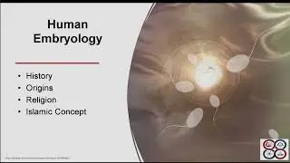 The Miracle of Human Creation