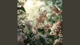 The Scent of Spring