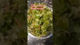 తోటకూర fry village style #shorts #trending #food #cooking #viral #songviral #easyrecipe #latest