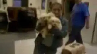 Small Paws Rescue