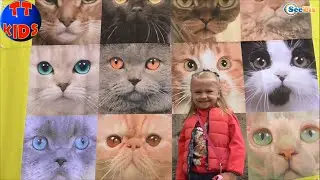 ✔ Выставка Кошечек. Ярослава в гостях у Котят | Kitty and Girl Yaroslava. Exhibition of kitties ✔