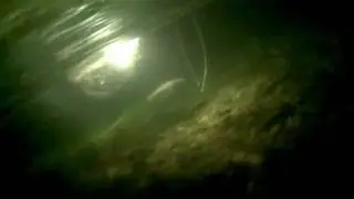 Electroshocking on Utah's Green River