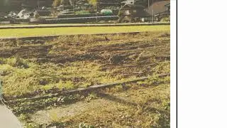 11/16荒起こしISEKI TH22