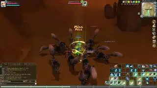 Florensia - Nunca  - Priest AoE Fox Den