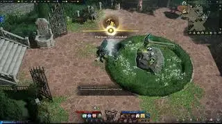 Where to use Entrance Ticket Platinum Field, Lost Ark