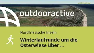Winterlaufrunde um die Osterwiese &uuml;ber Braderup am 26. Dezember 2025