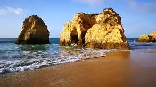 Video_20180109003821179_by_videoshow.mp4