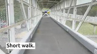 Lunch Break Walk, No Rush. Petone (NZ)