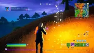 Fortnite Collect Chicken feathers 2