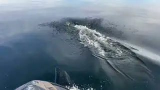 The Canadian Passage 2025 South 