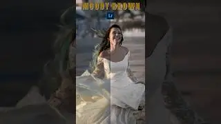 🟤 De Claro a Cinem&aacute;tico: El Toque &lsquo;Moody Brown&rsquo; 🎞️✨