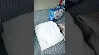Mattress Protector