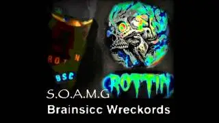 Brainsicc  