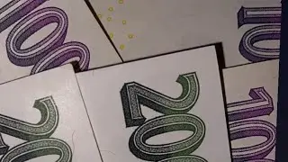 Multi Vegas 81