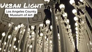 Los Angeles Most Popular Local and Tourist Spot - LACMA Urban Light