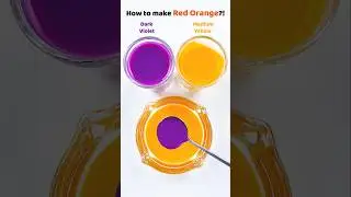How to make Red Orange?! #colormixing #satisfying #asmr #watercolor