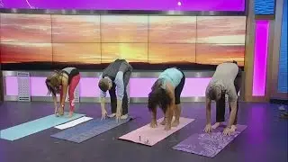 Yoga at Spring Mountain Ranch State Park