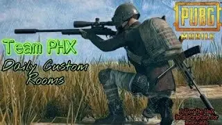 Team Phoenix Customs