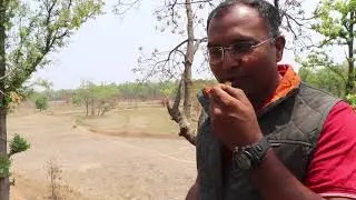 ELEPHANT CONSERVATION USING BEEHIVE FENCING