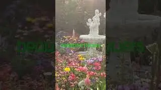 beauty of nature #hk #hongkongflowershow2023 #flowers #fyp #ofwhk #kunyang