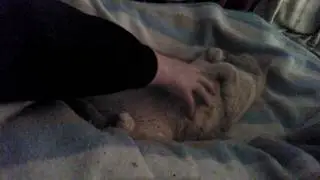 Kittie's Comfy! RAW