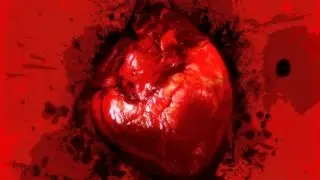 ##LIF33 ❤ Release by Hoows (YunaMC) ❤