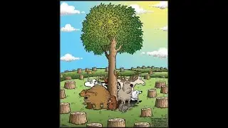 deep meaning pictures|@pintrest @successpictures@illustration
