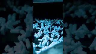 Makarovfilms shot 24 #снятьвидеоролик #видеосъёмка #бизнес #реклама #factory